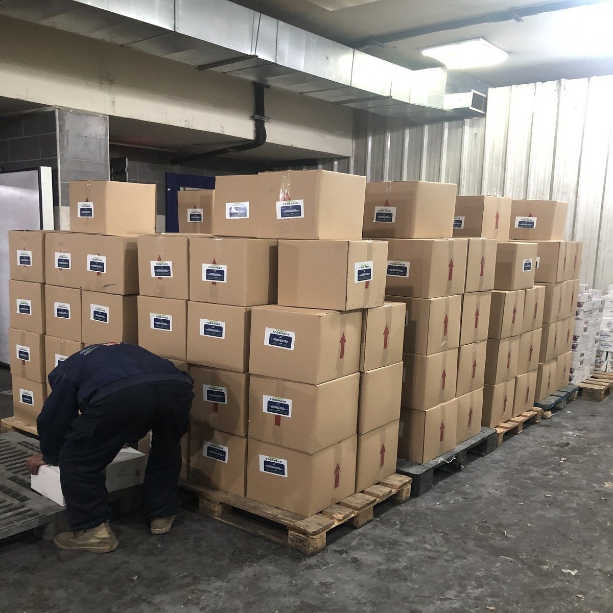 Pallets warehouse 200 ffp boxes