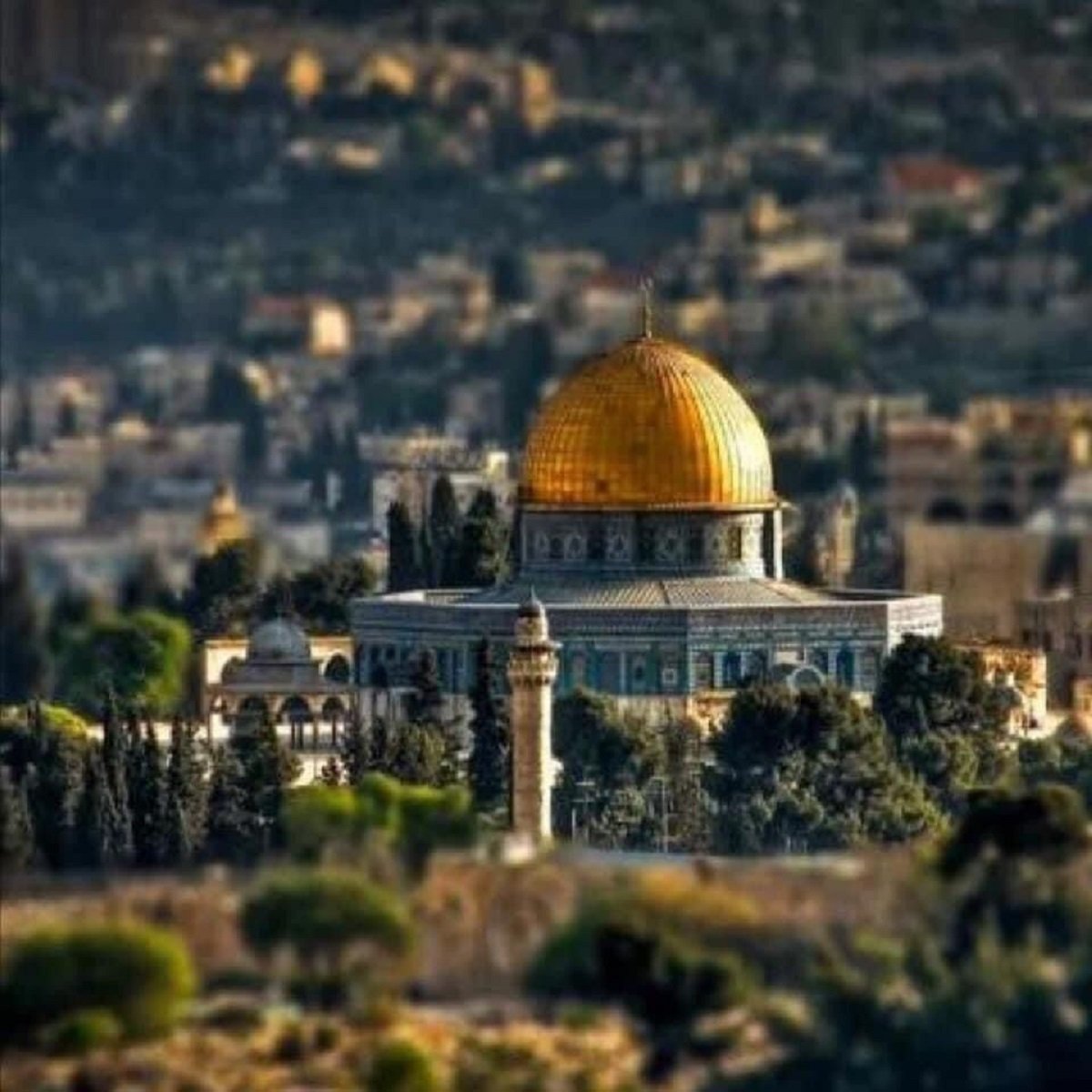 Aqsa mosque focused