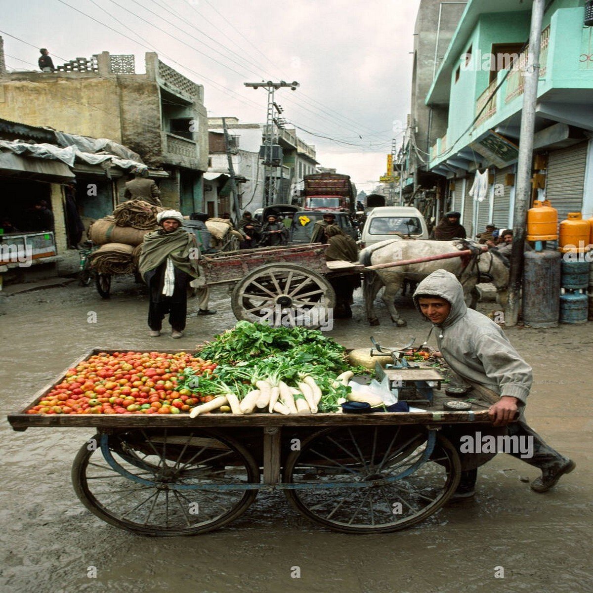 Pak veg cart rerri