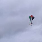 palestine kite in sky